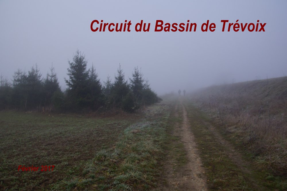Circuit du Bassin de Trévoix